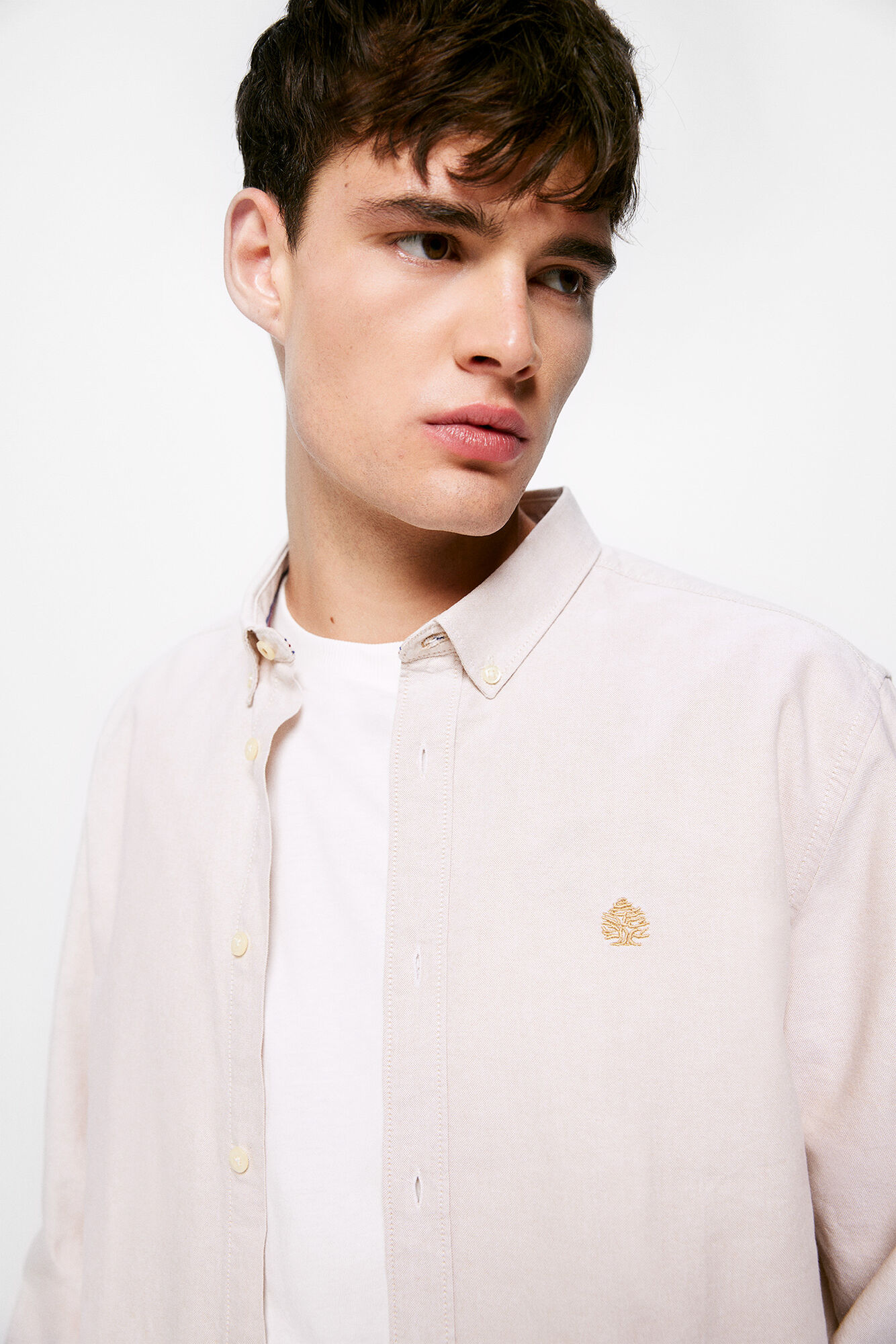 Cor da camisa Oxford