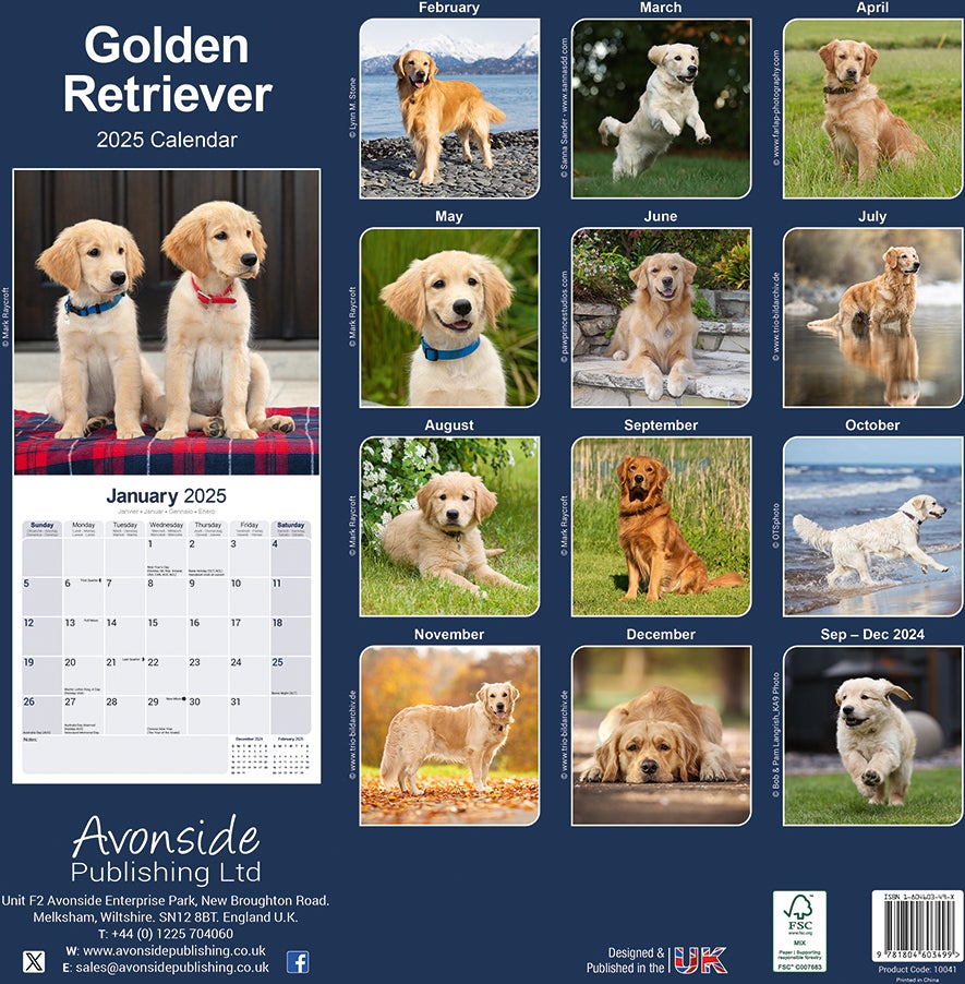 Plenty Gifts kalender golden retriever 30 x 30 x 0,5 cm