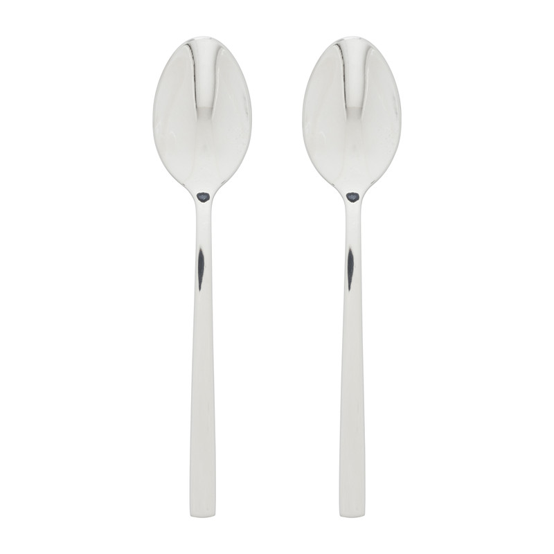 Theelepels - zilverkleurig - set van 2