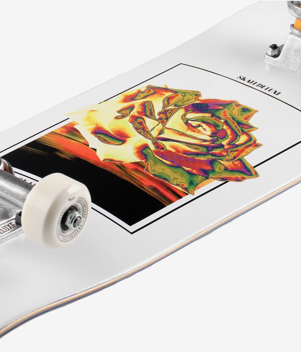 skatedeluxe Rose 8