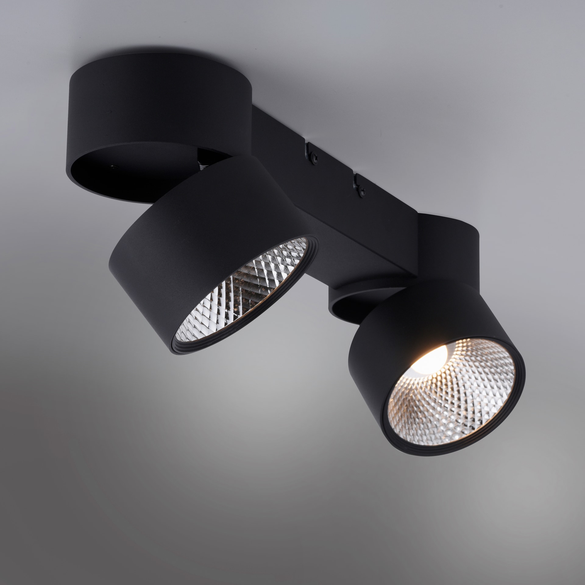 Paul Neuhaus LED Deckenlampe mit 2 Spots PURE-NOLA 49 cm schwarz