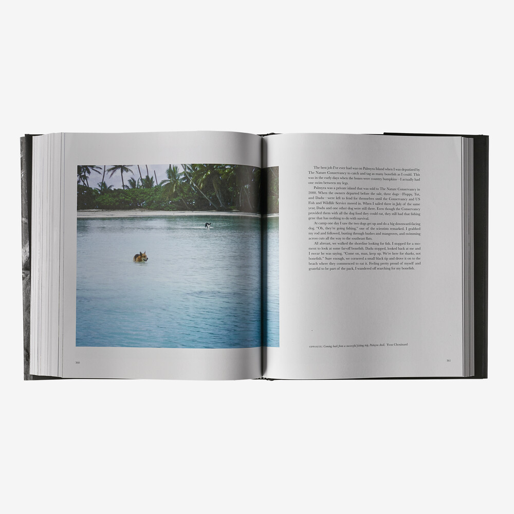 Einige Geschichten: Lehren aus der Schnittstelle von Wirtschaft und Sport von Yvon Chouinard (gebundenes Buch, erschienen bei Patagonia)