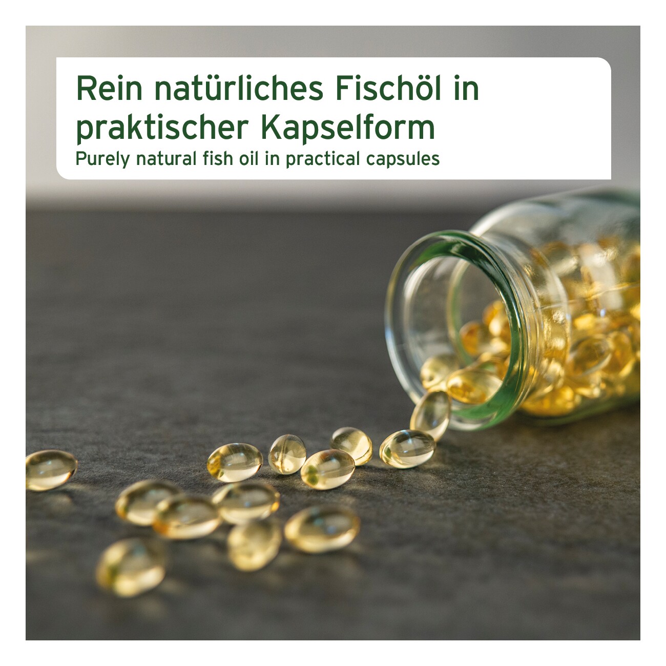 AniForte Lachsöl Kapseln 500 Stück