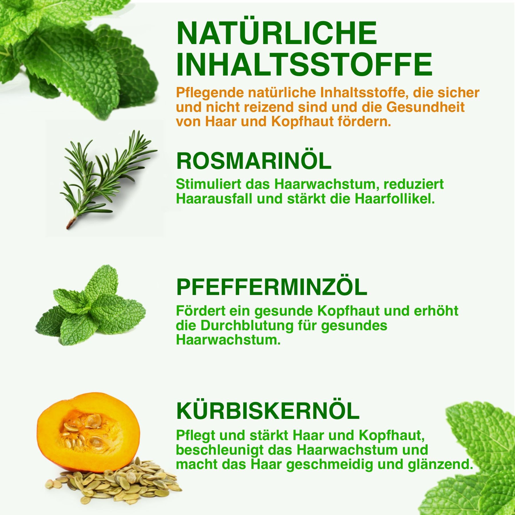 ALIVER 3-in-1 Rosmarinöl Pfefferminz Kürbiskern Haaröl für Haarwachstum