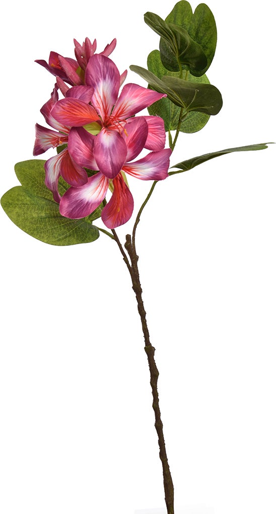 Jasaco kunstbloem Bauhinia paars 60 cm
