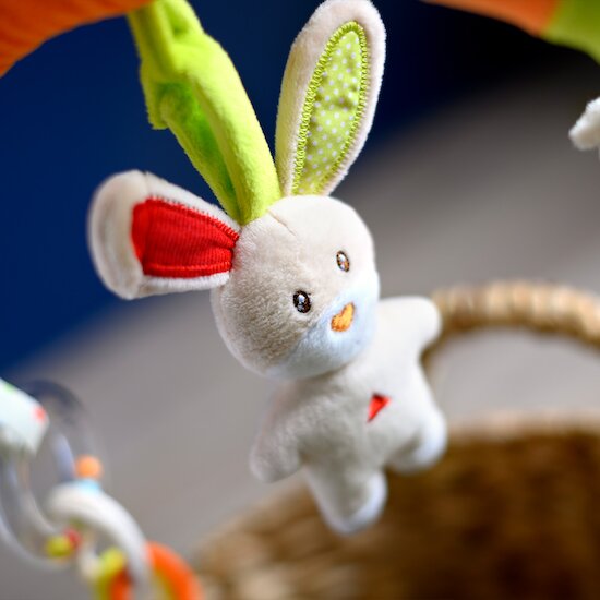 Arche universelle Bunny   de               Formula Baby