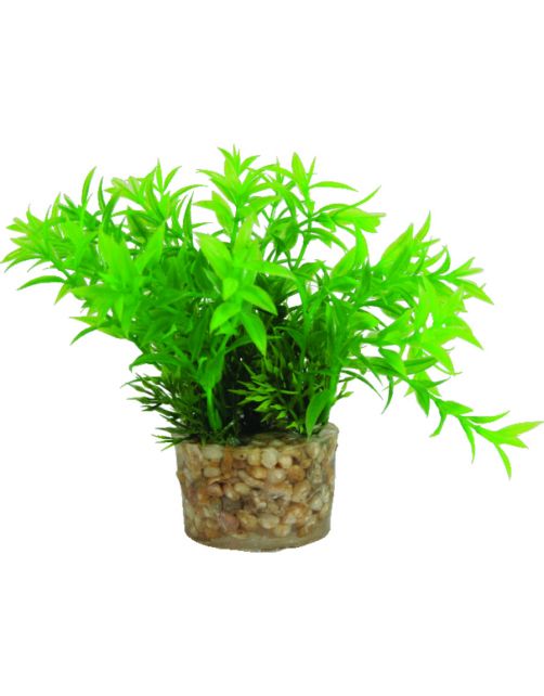 Zolux Kunstplanten Op Grind - Aquarium - Kunstplant - Assorti per stuk Small
