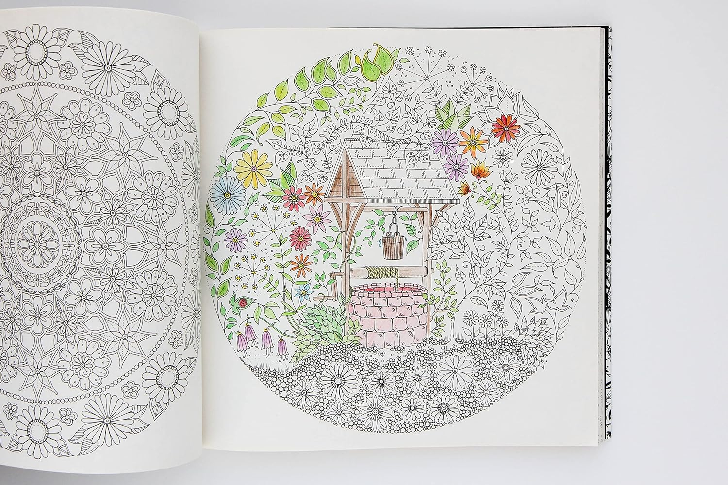 (25x25cm) Anti Stress Malbuch Secret Garden Mandala Kreatives Zeichnungsheft für Erwachsene