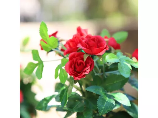 Rosier plante fleur artificielle extérieur cimetière tissu rouge 23cm