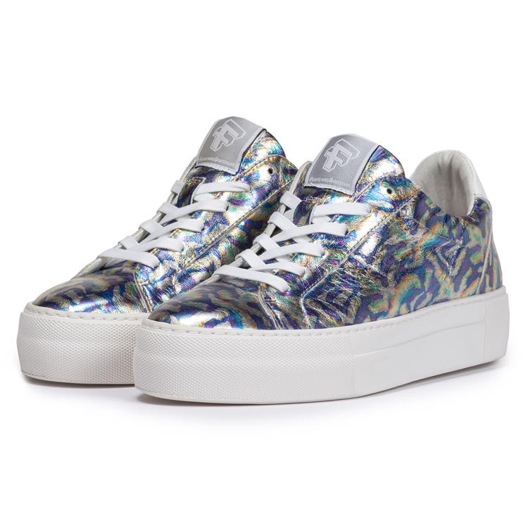 Floris van Bommel SFW-10059 multi