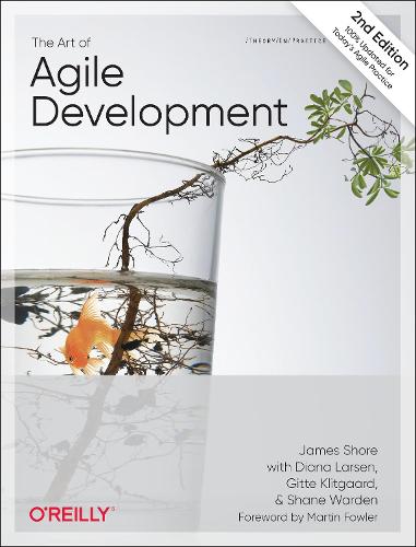 The Art of Agile Development (Paperback)