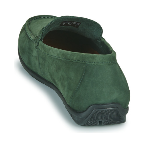 Aldo - LEANGELO - Vert