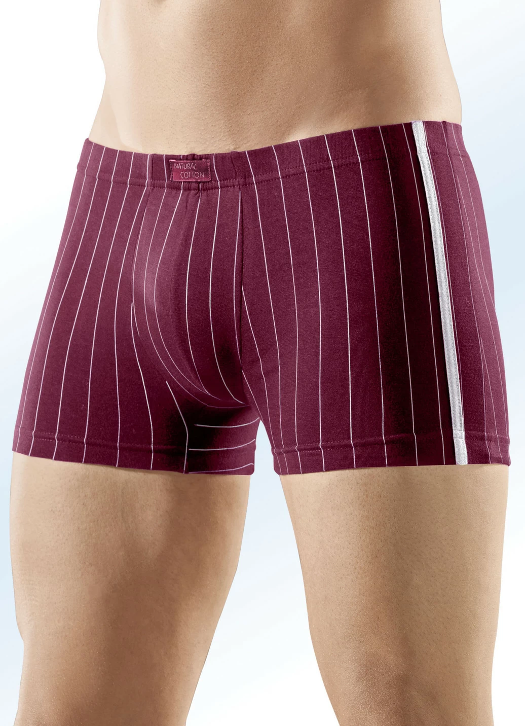 Viererpack Pants, gestreift