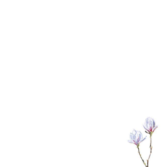 Michelle Dujardin | Condoleancekaart | Illustratie