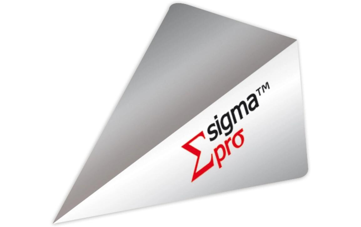 SIGMA.100 PRO FLIGHT SilberDartflight