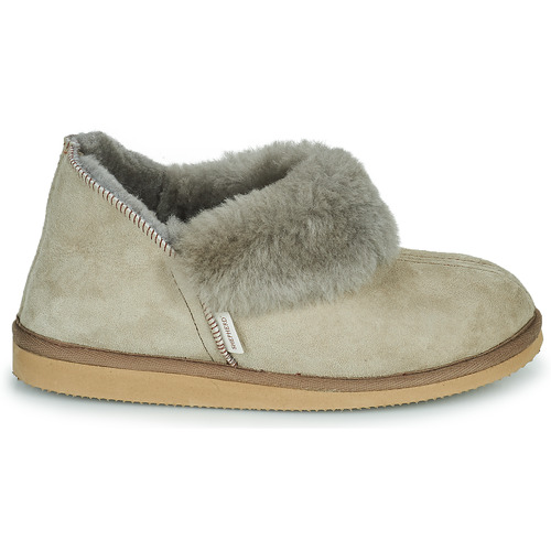 Shepherd - KARIN - Gris