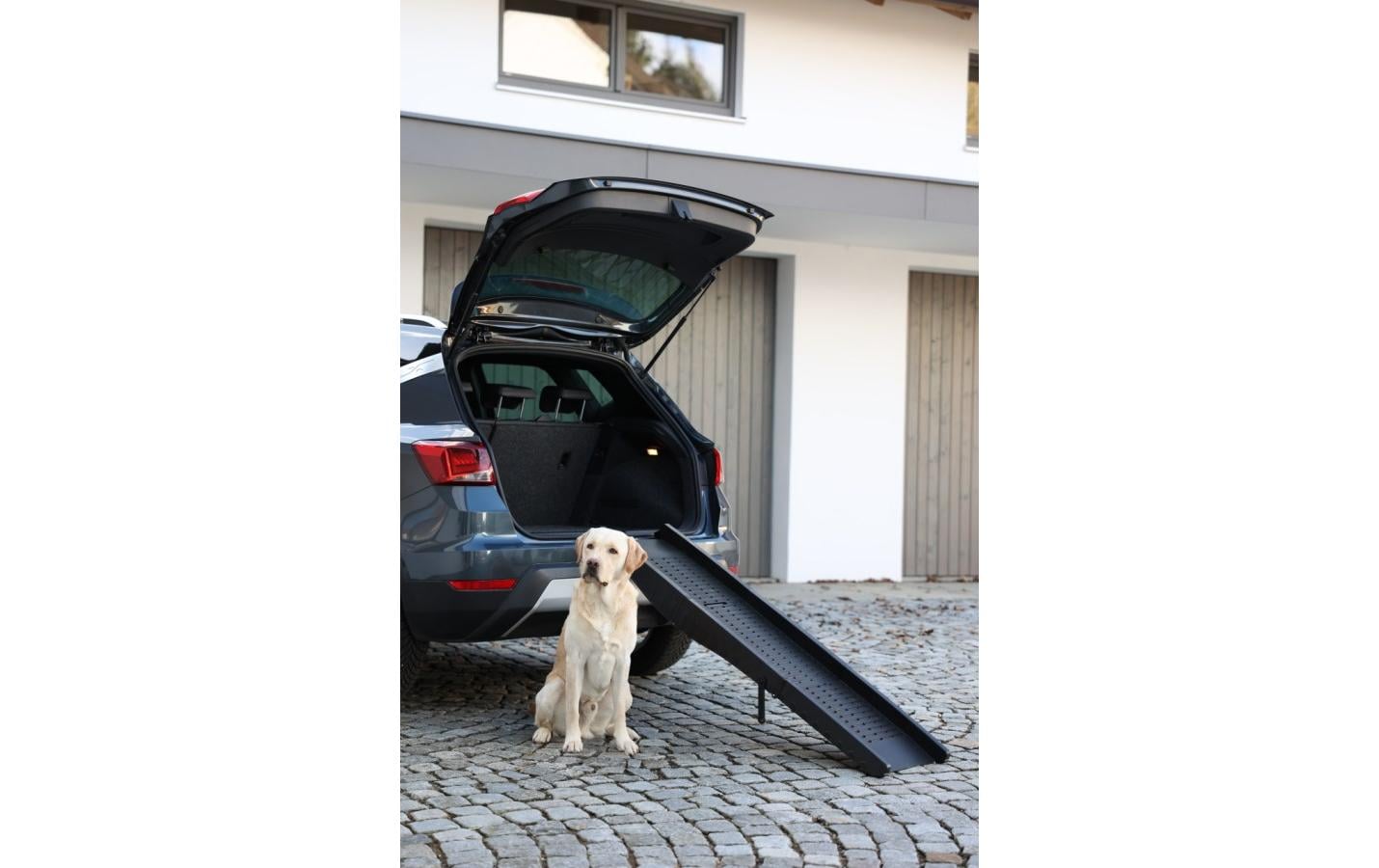 Hunderampe 152 cm x 41 cmTragbare Rampe für Hunde bis 75 kg