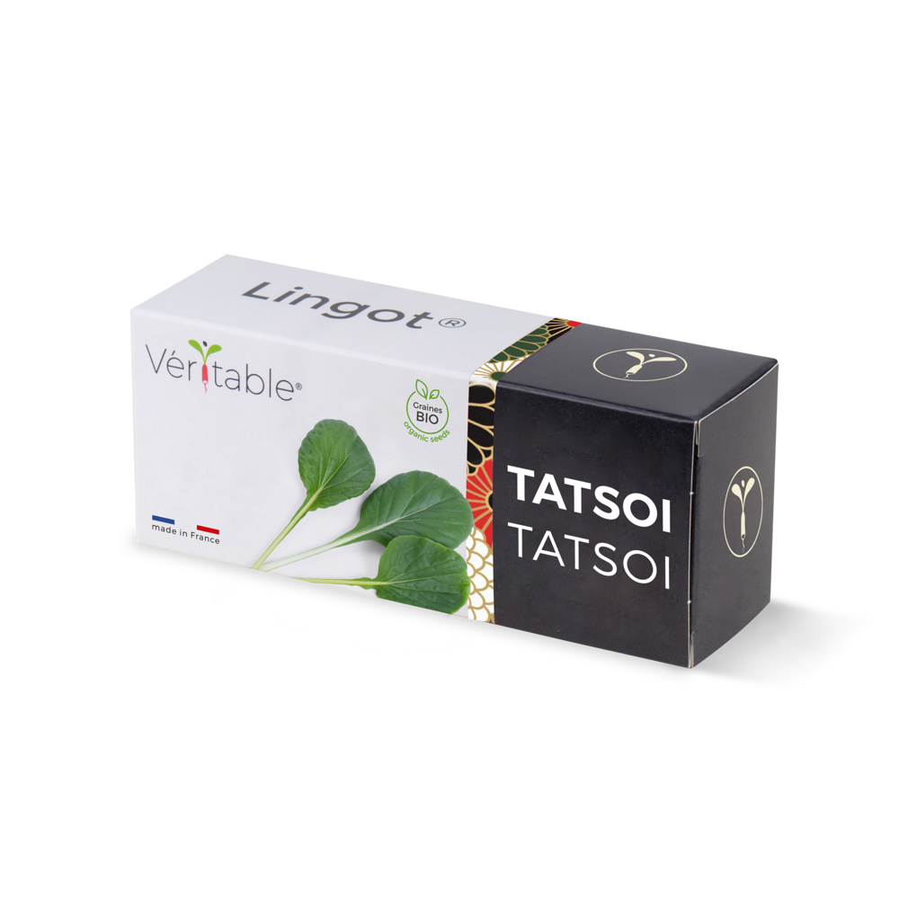 Lingot tatsoi bio - recharge prête à l'emploi