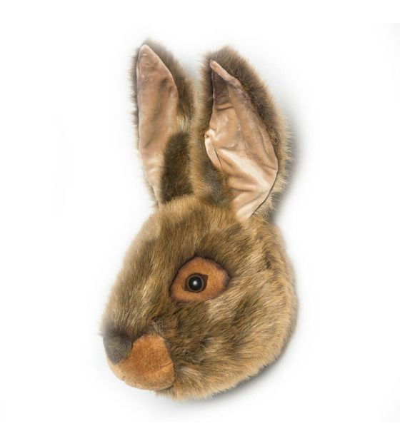 Dierenkop haas
