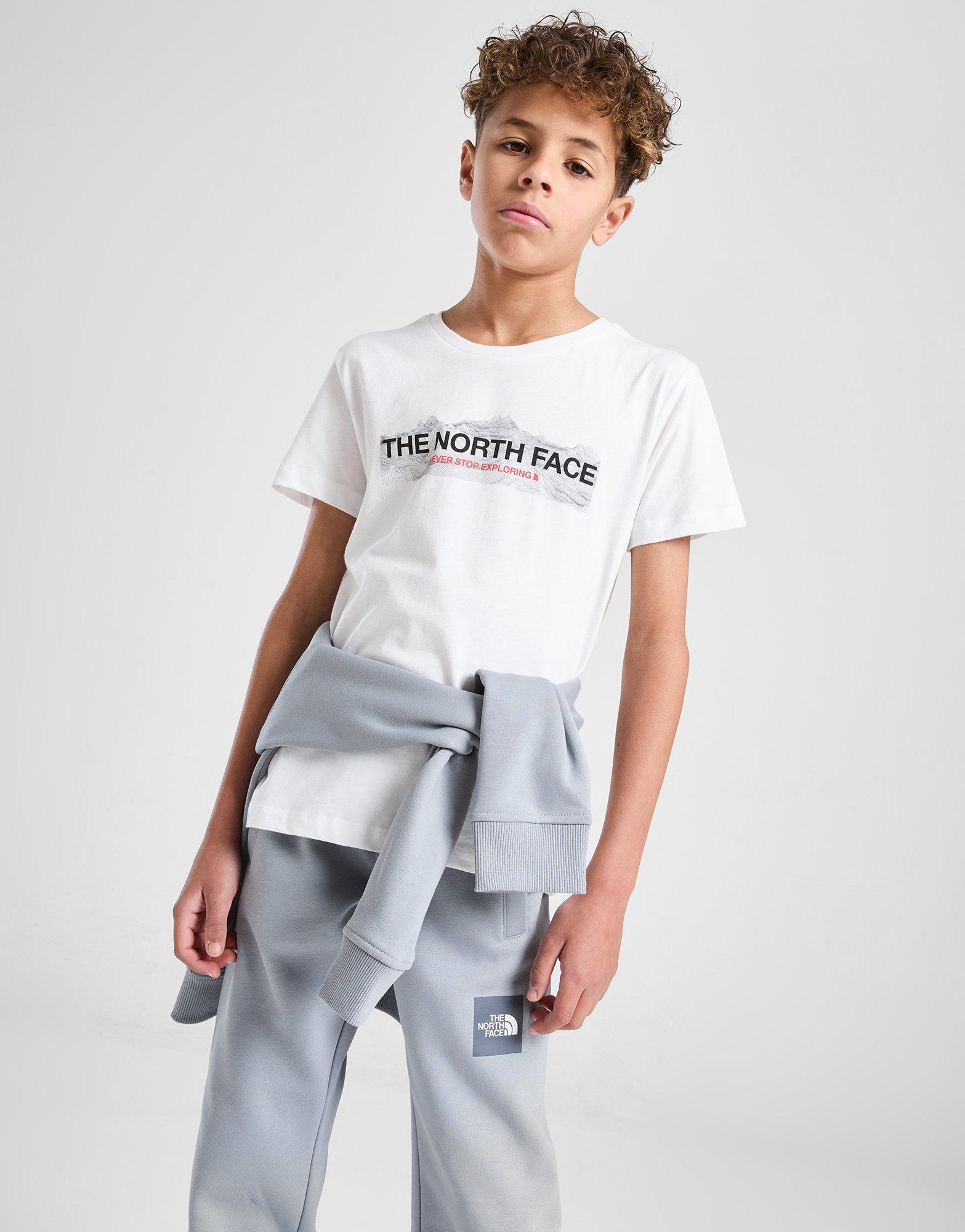 The North Face T-shirt Mountain Junior