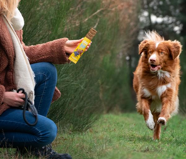 Edgard & Cooper Hundesnack Keep It Up Bar,