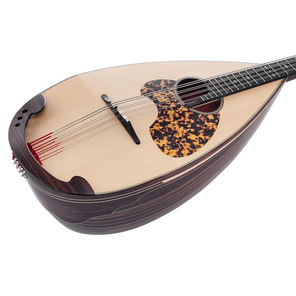 Atsushi Miyano Mandoloncello MC-3 RR