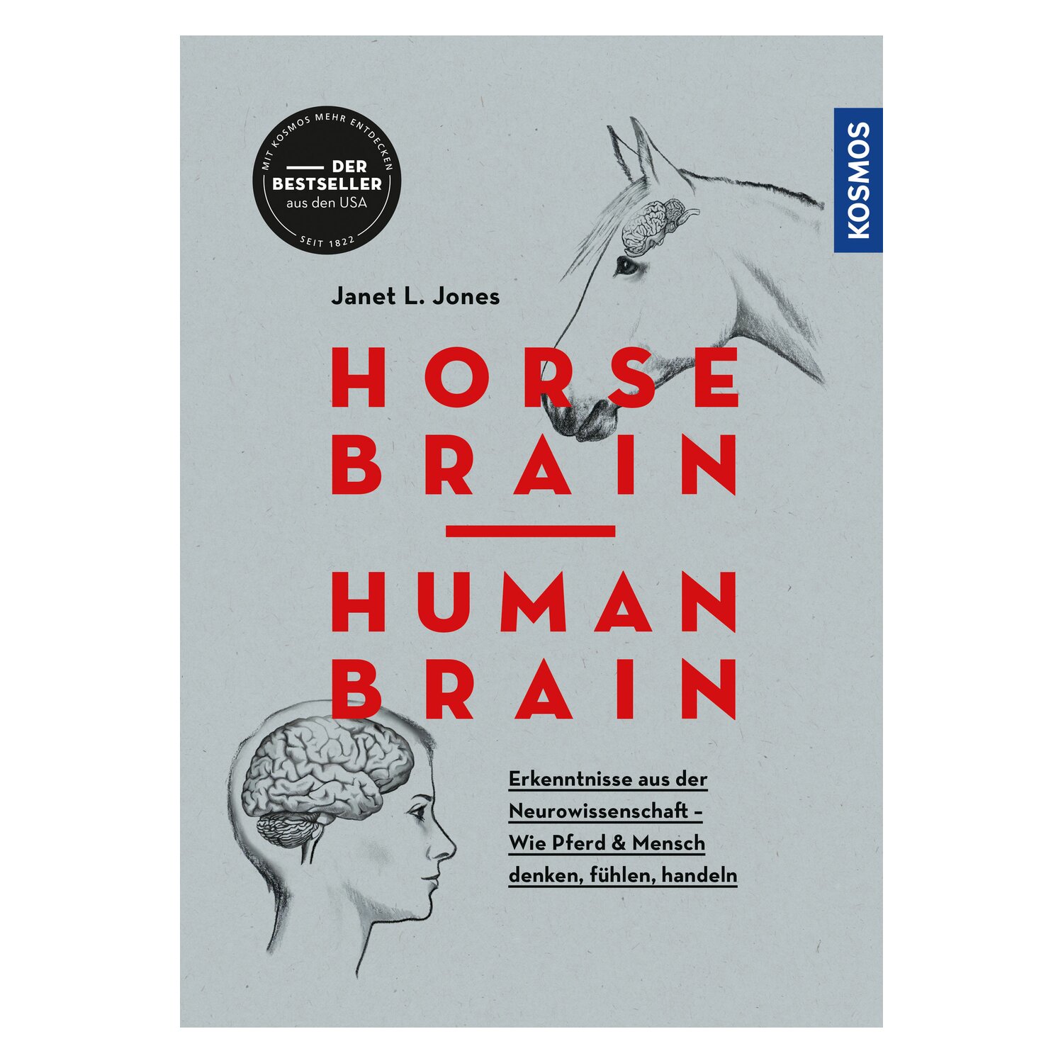 Horse Brain- Human Brain
