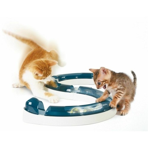 Circuito de brinquedo para gatos, várias cores