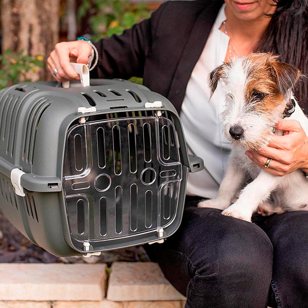Panier de transport rigide jet 10 pour petits chiens et chats, porte transparente antichoc, grilles de ventilation