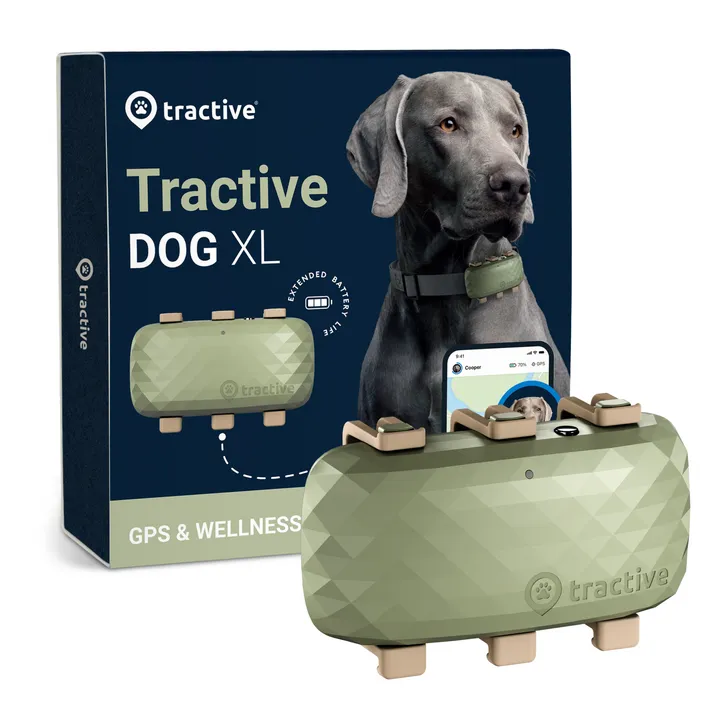 Tractive GPS DOG XL - Green - Abonnement i app