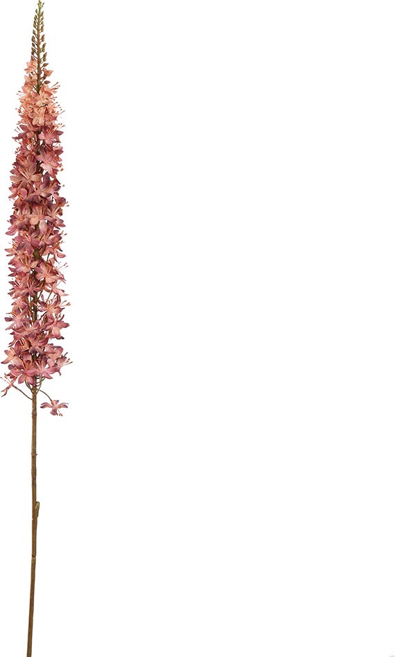 Jasaco Pure kunstbloem Eremurus roze 109 cm