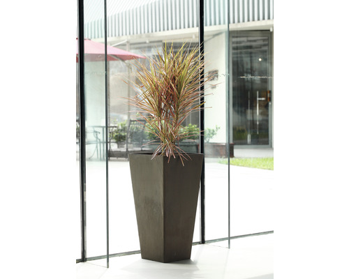 Plantenvaas Lafiora Liam LxB 40 x 40 cm H 80 cm bruin