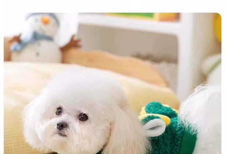 Cissilli - Dinosaurus Faux Shearling Hooded Pet Top
