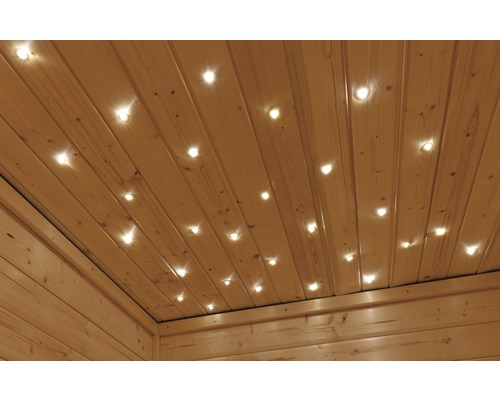 Sterrenhemel LED Caribou