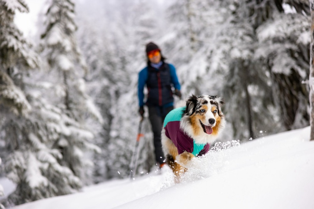 Veste d'hiver powder hound™ avec isolation hybride pour froid extreme. Couleur: aurora teal (sarcelle), taille: s