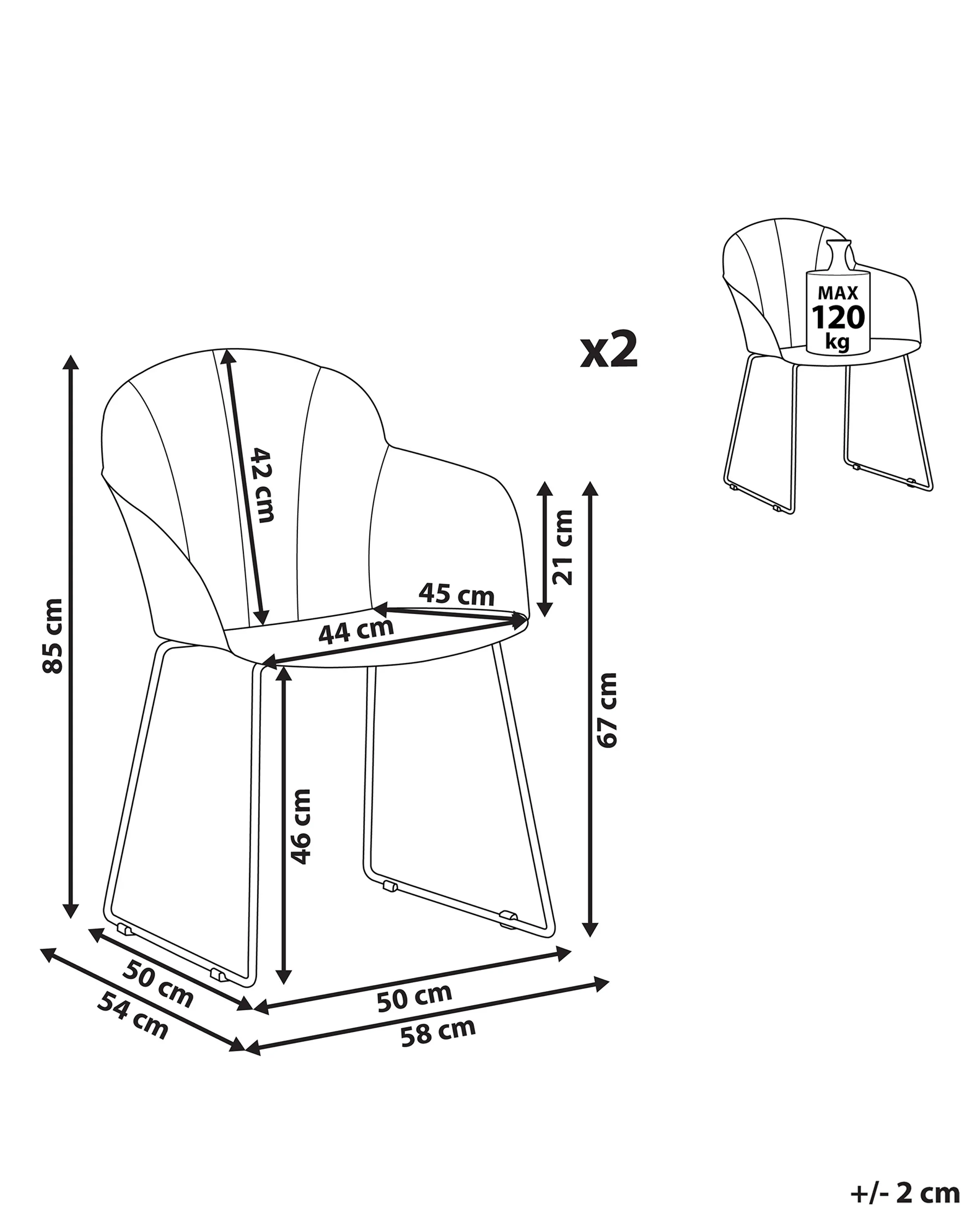 Set van 2 eetkamerstoelen SYLVA Zwart