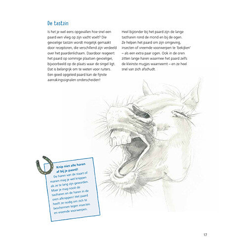 Uitgeverij kluitman alles over paarden