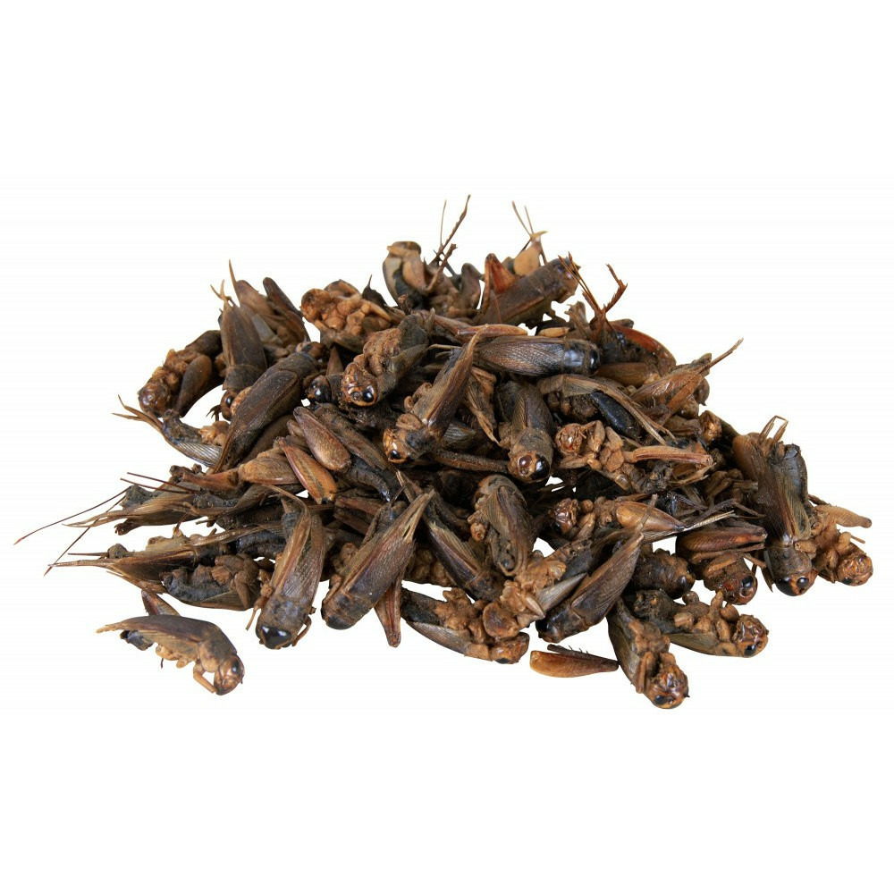 Grillons séchés 25 gr, pour reptiles.