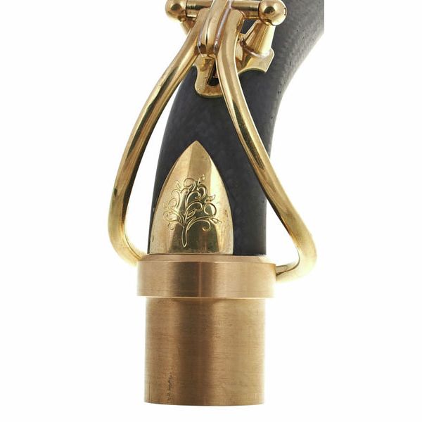 Forestone Carbon S- Neck for Alto Sax