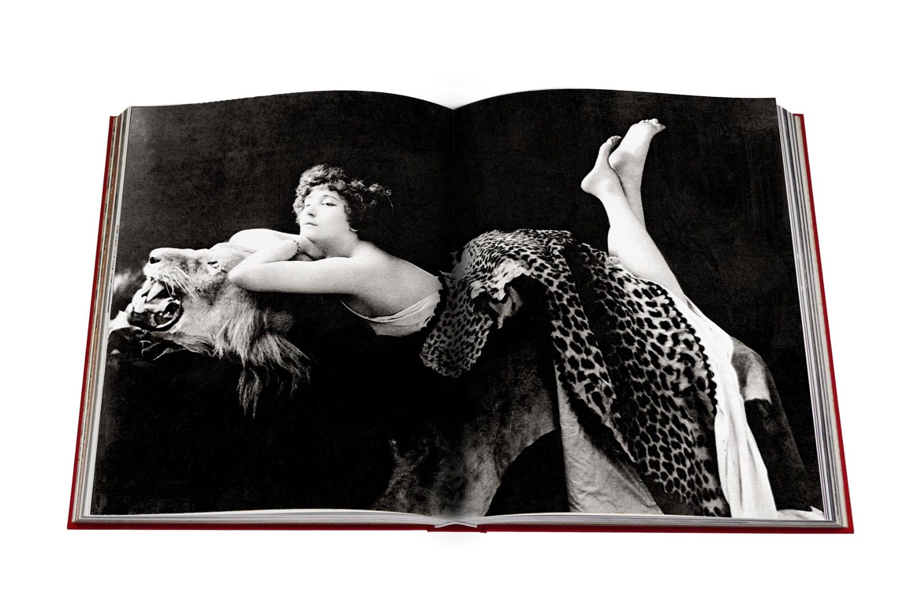 Assouline Cartier Panthère