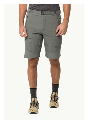 Short Jack Wolfskin Ziegspitz Vert Homme