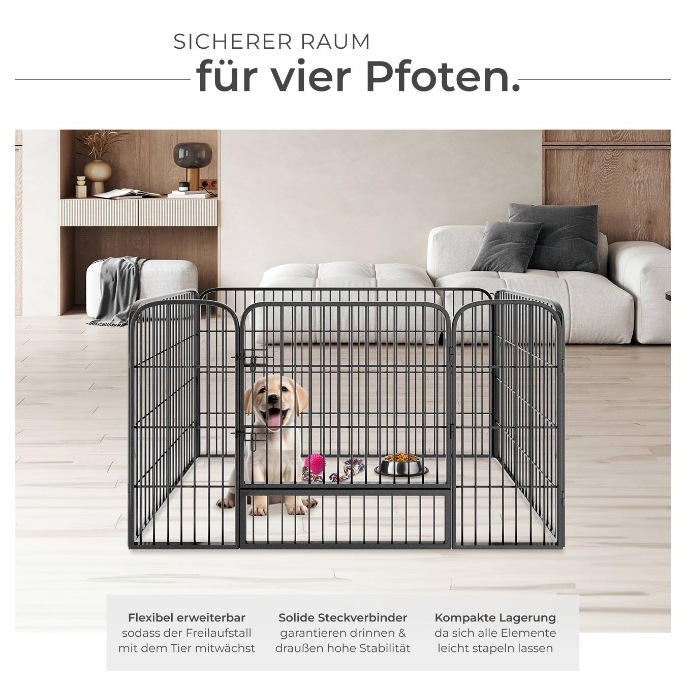 Welpenauslauf Tino