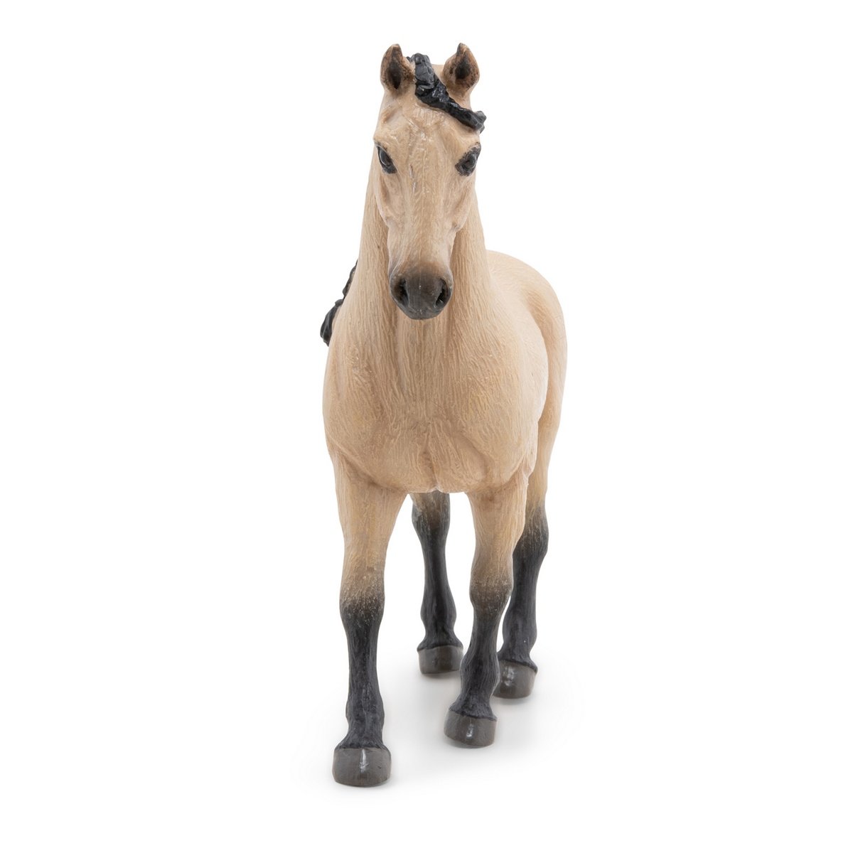 Cheval Lusitanien