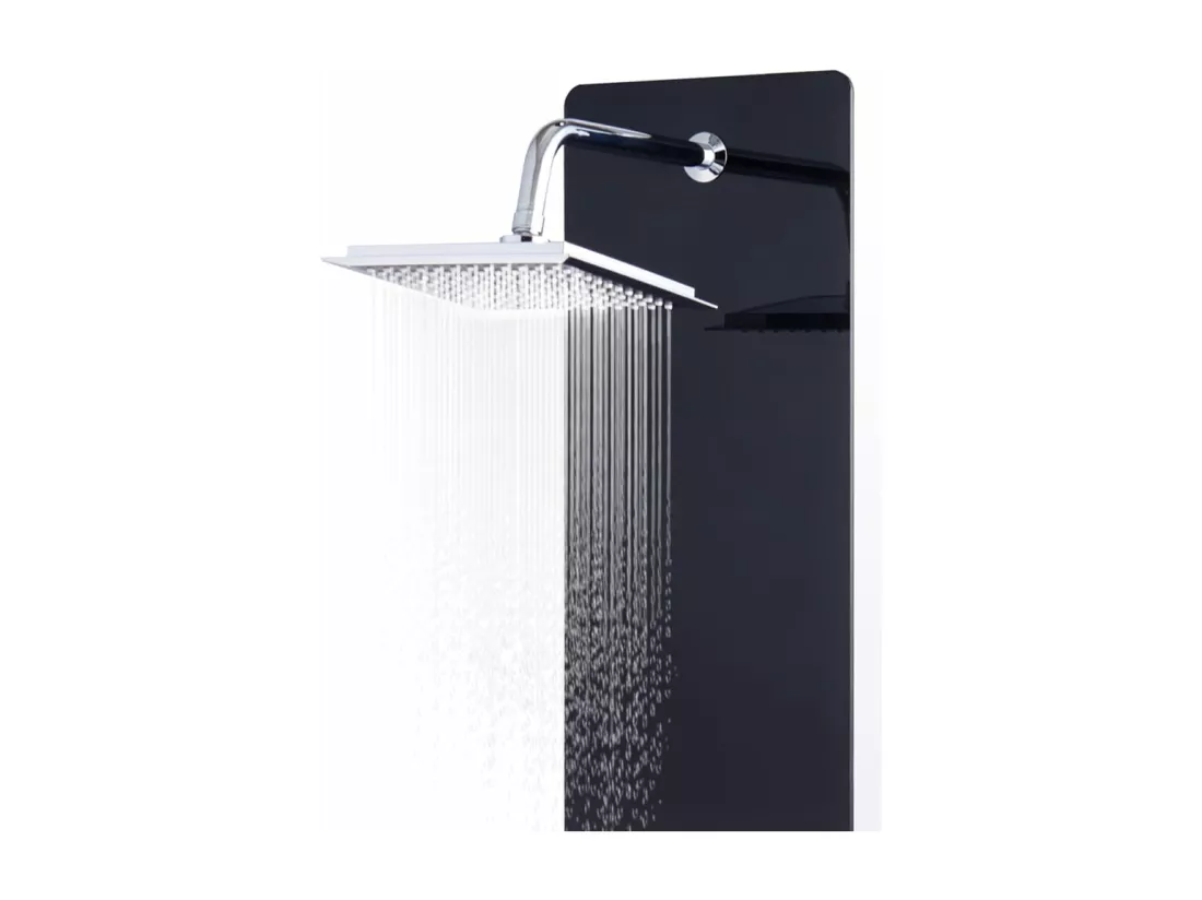 Panneau de douche pomme argenté 25 x 44.6 x 130 cm 02_0003435