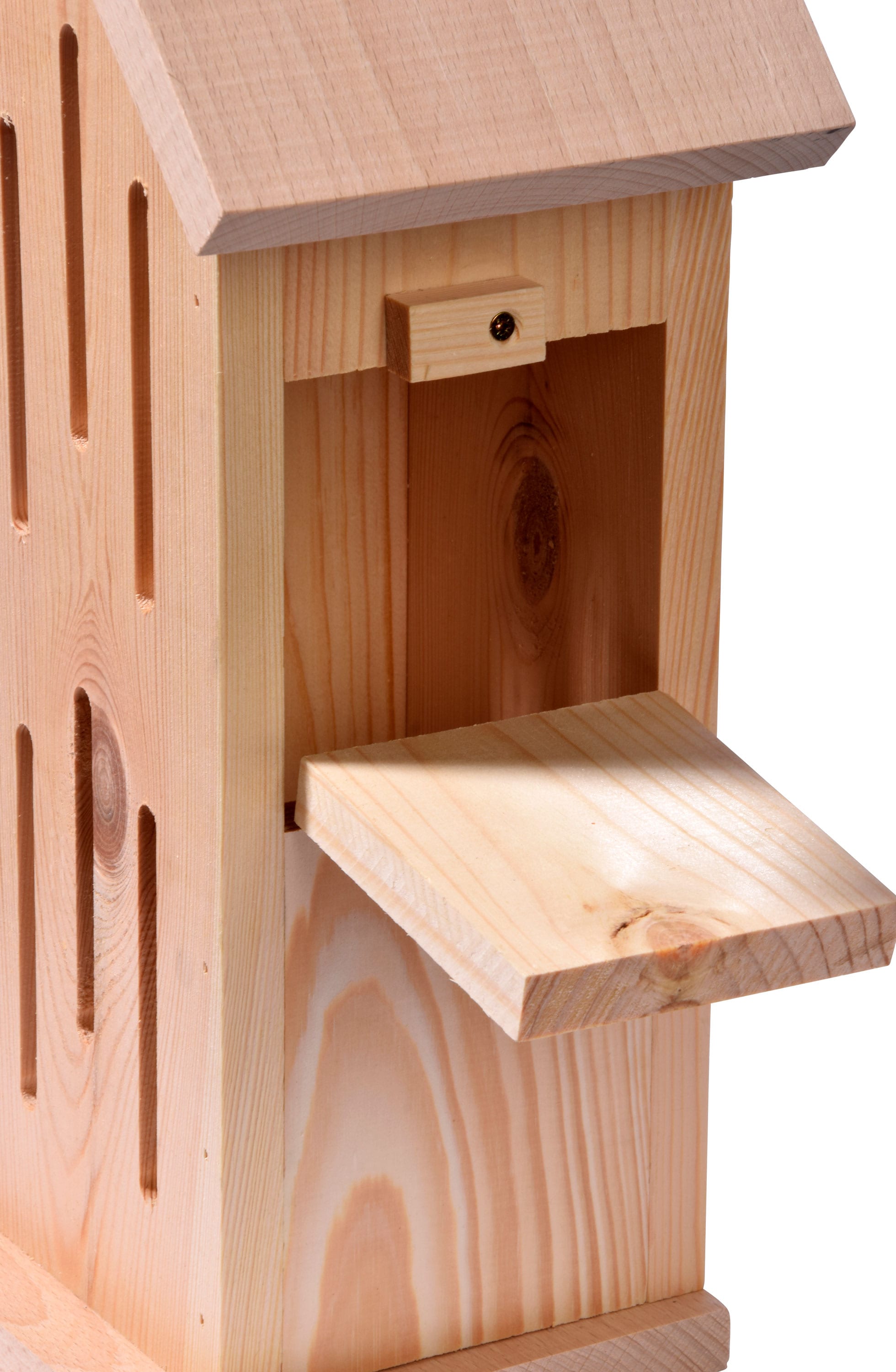 dobar Design-Schmetterlingshaus 