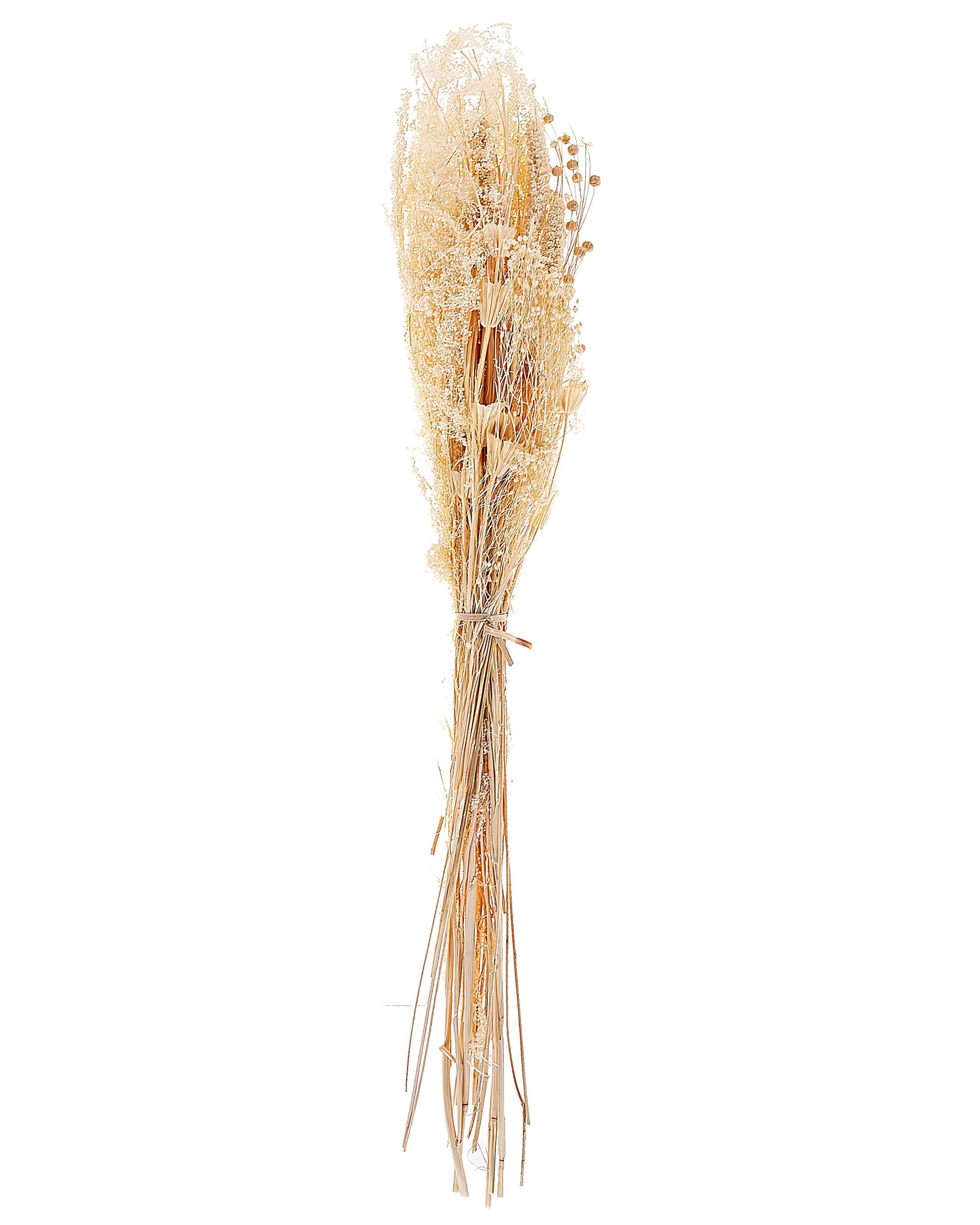 Droogbloemen boeket BRUNETE 65 cm Natuurlijk