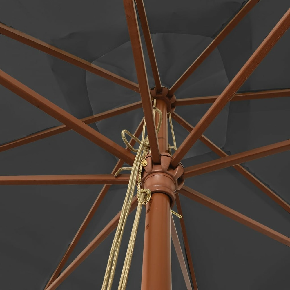 Parasol de jardin avec mât en bois 300 x 300 x 273 cm anthracite