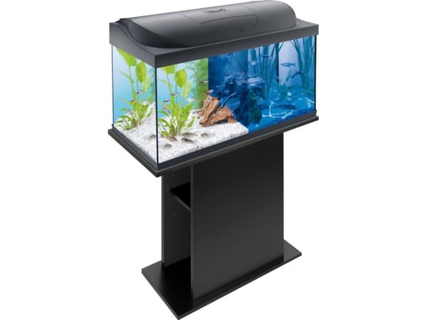 Tetra Starter Line Tank LED 54L, sort