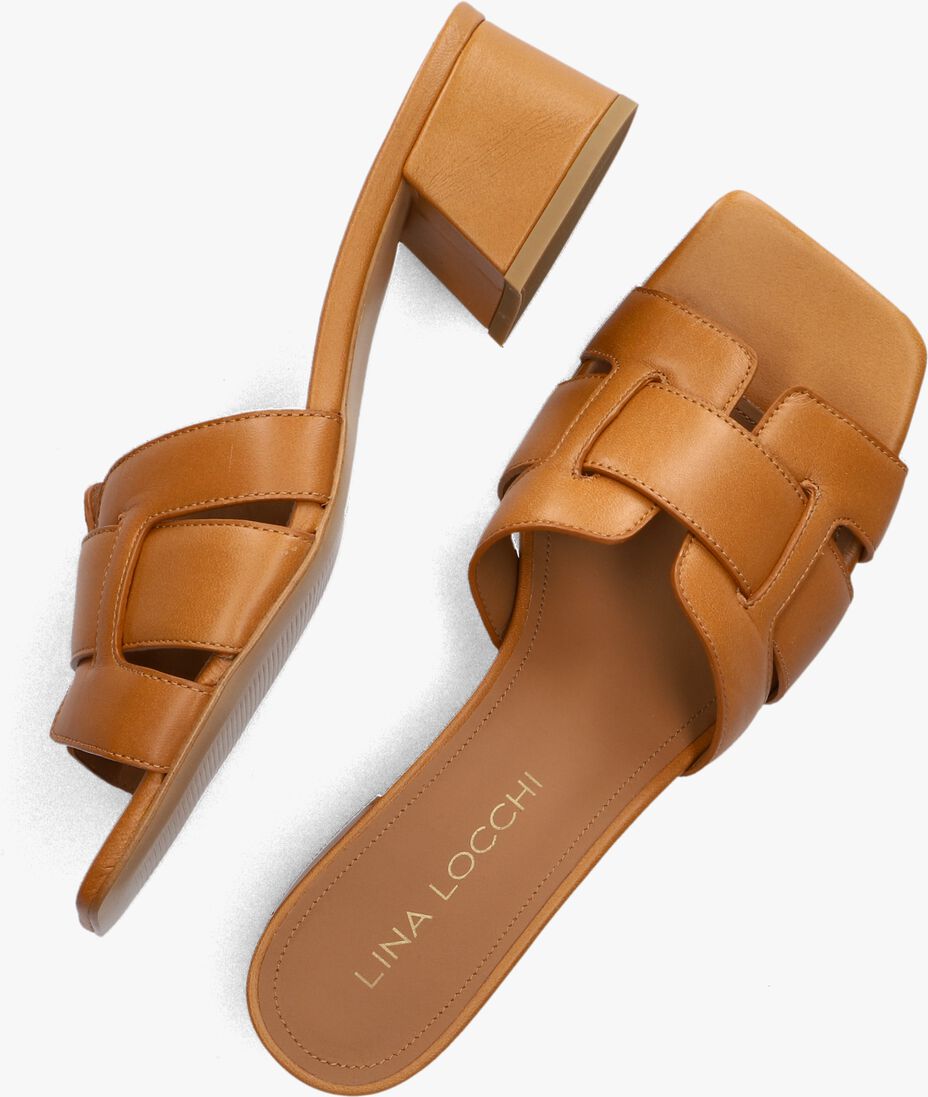 bruine lina locchi muiltjes l1398