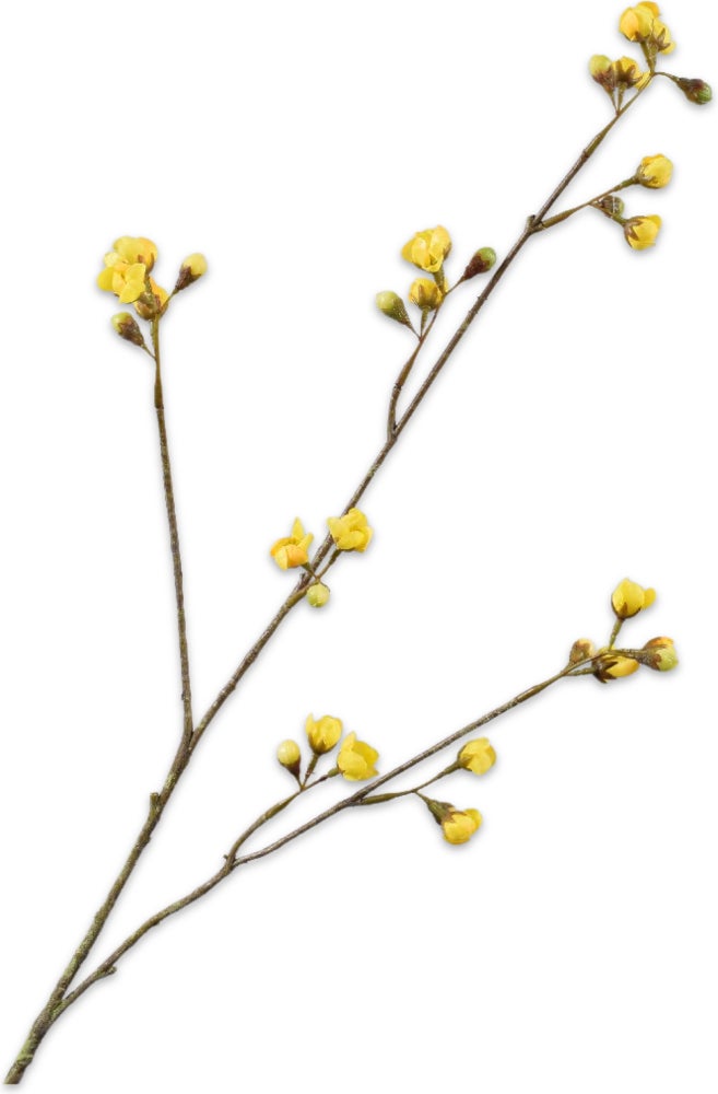 Silk-Ka kunstbloem Waxflower geel 83 cm